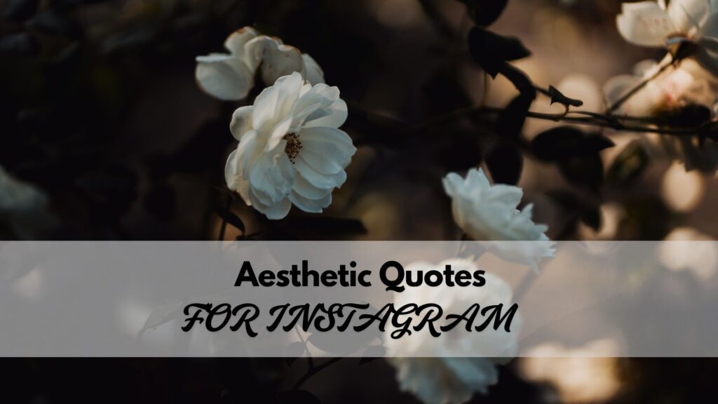 Aesthetic Quotes for Instagram
