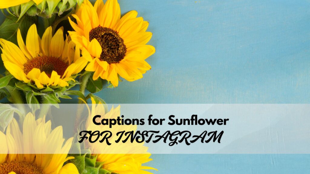 Versatile sunflower captions adaptable to any Instagram post, including selfies and travel photos